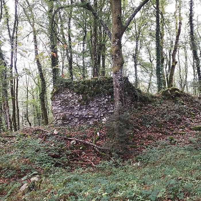 Photo de Ruines du château de Montrond