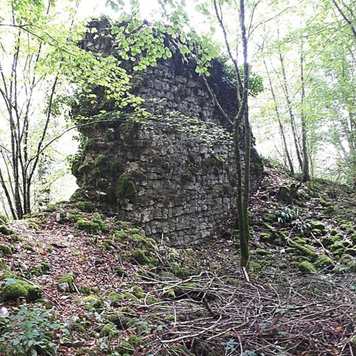 Photo de Ruines du château de Montrond