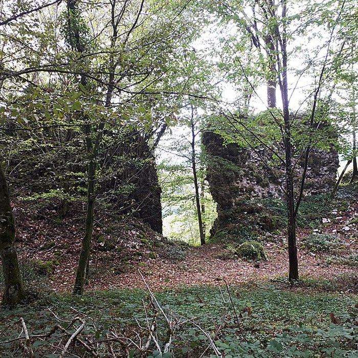 Photo de Ruines du château de Montrond