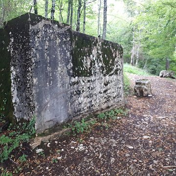 Ruines du château de Montrond