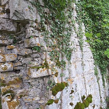 Ruines du château de Montrond