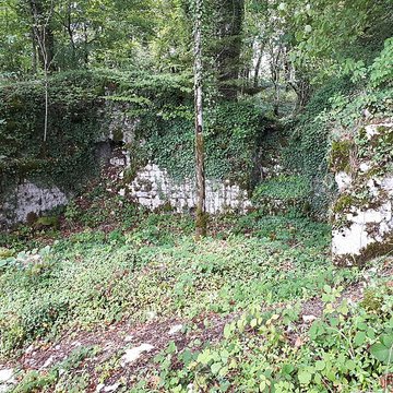 Ruines du château de Montrond