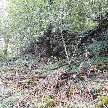 Ruines du château de Montrond