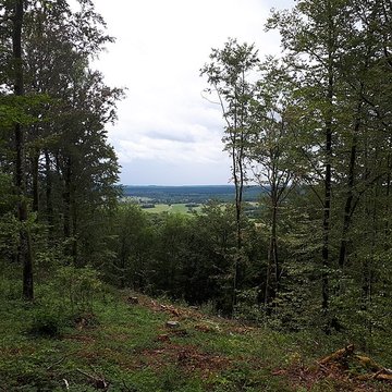 Ruines du château de Montrond