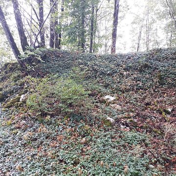 Ruines du château de Montrond