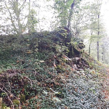 Ruines du château de Montrond