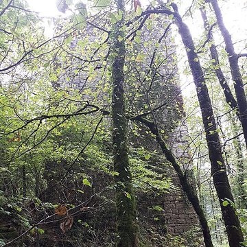 Ruines du château de Montrond