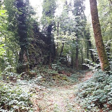 Ruines du château de Montrond