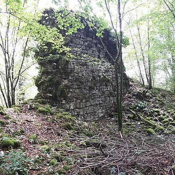 Ruines du château de Montrond