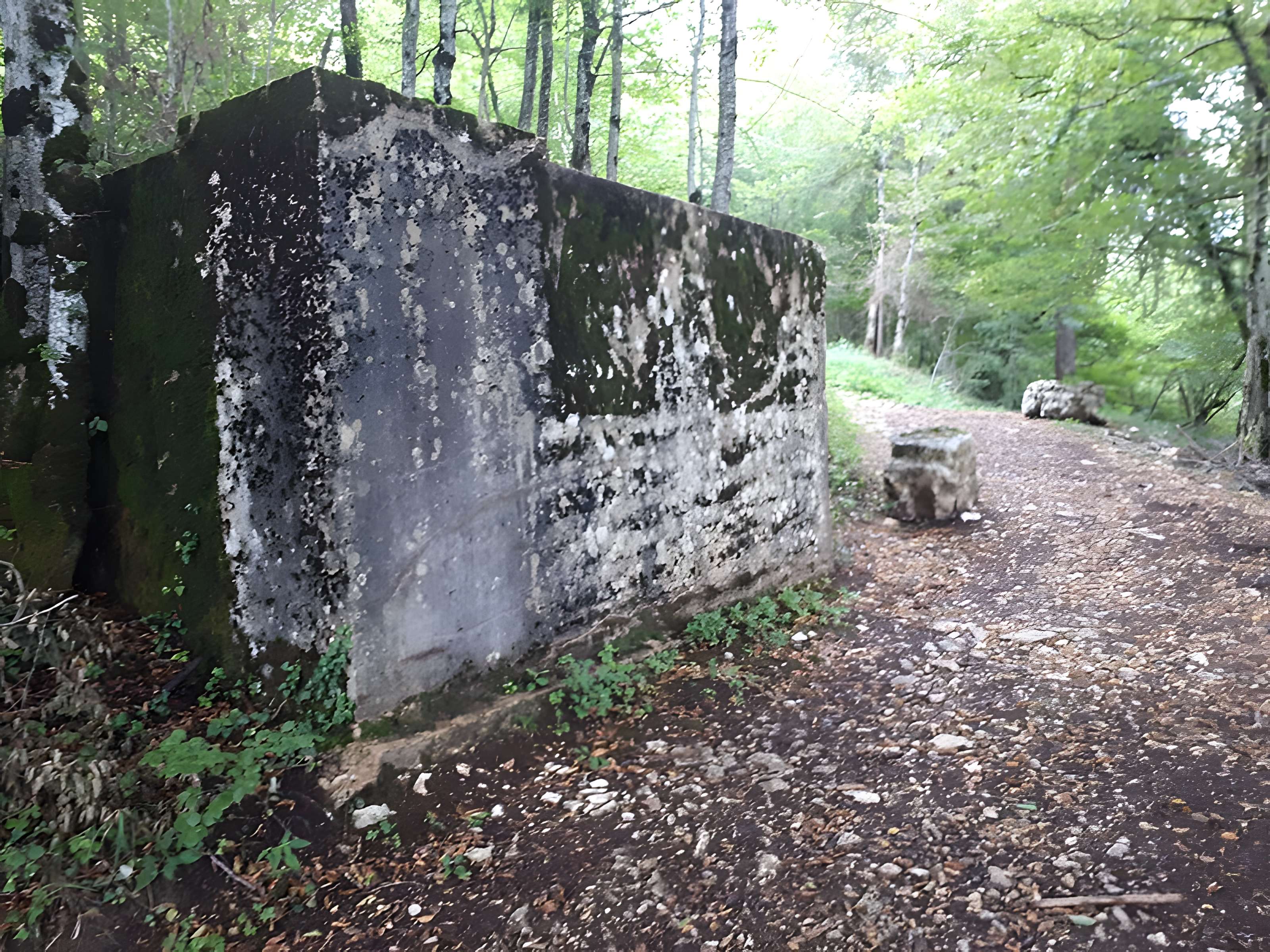 Ruines du château de Montrond
