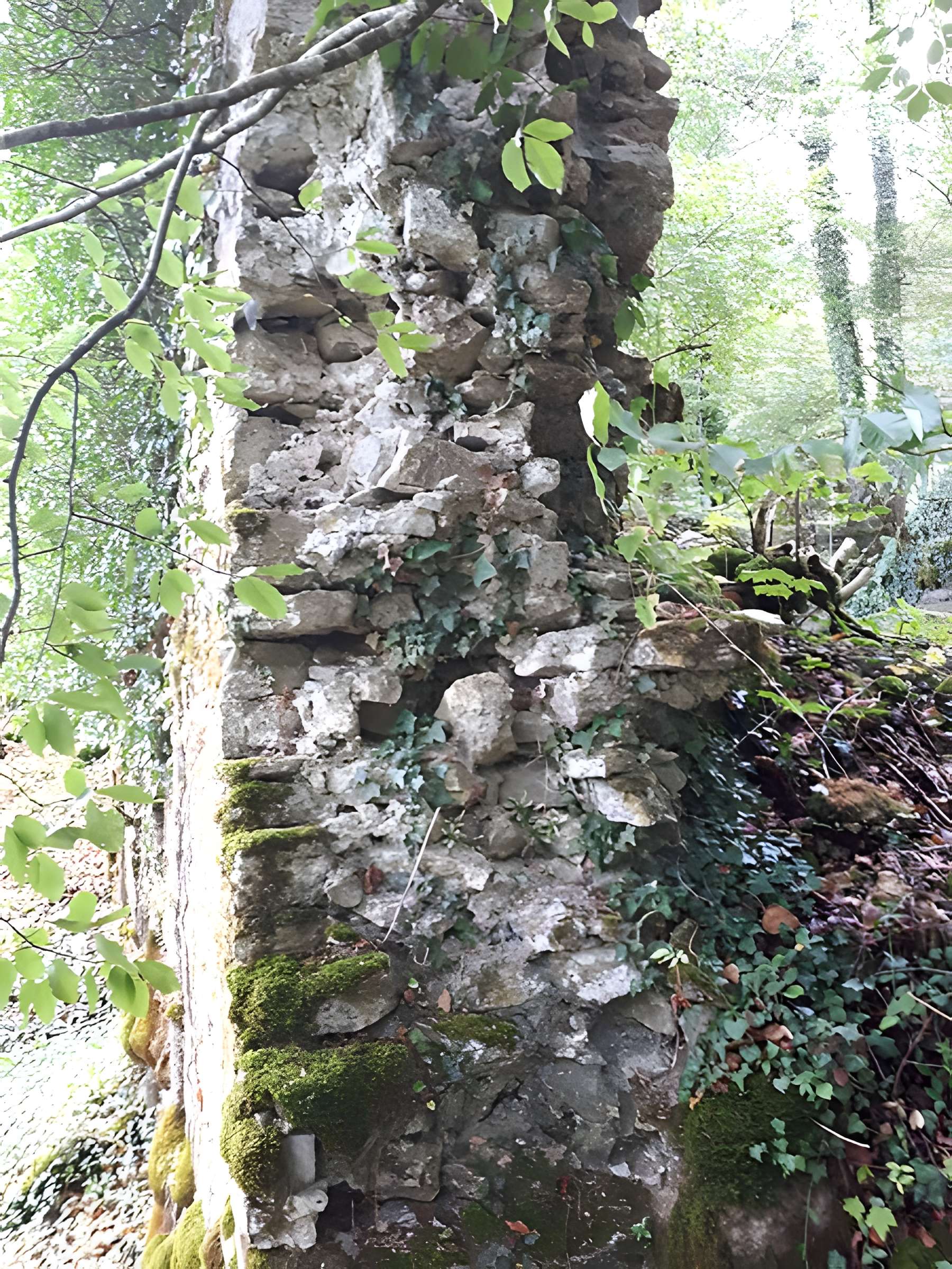 Ruines du château de Montrond