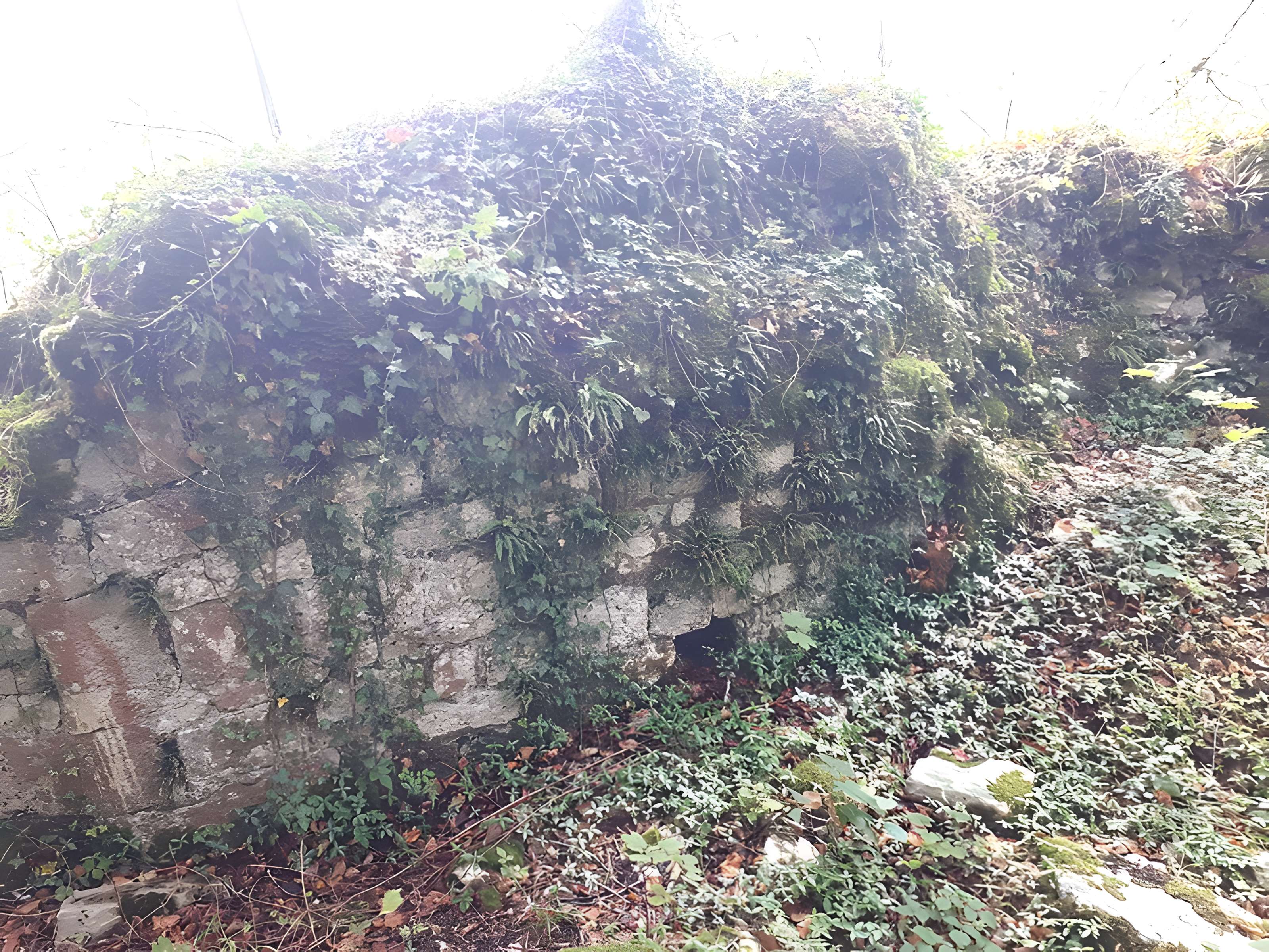 Ruines du château de Montrond