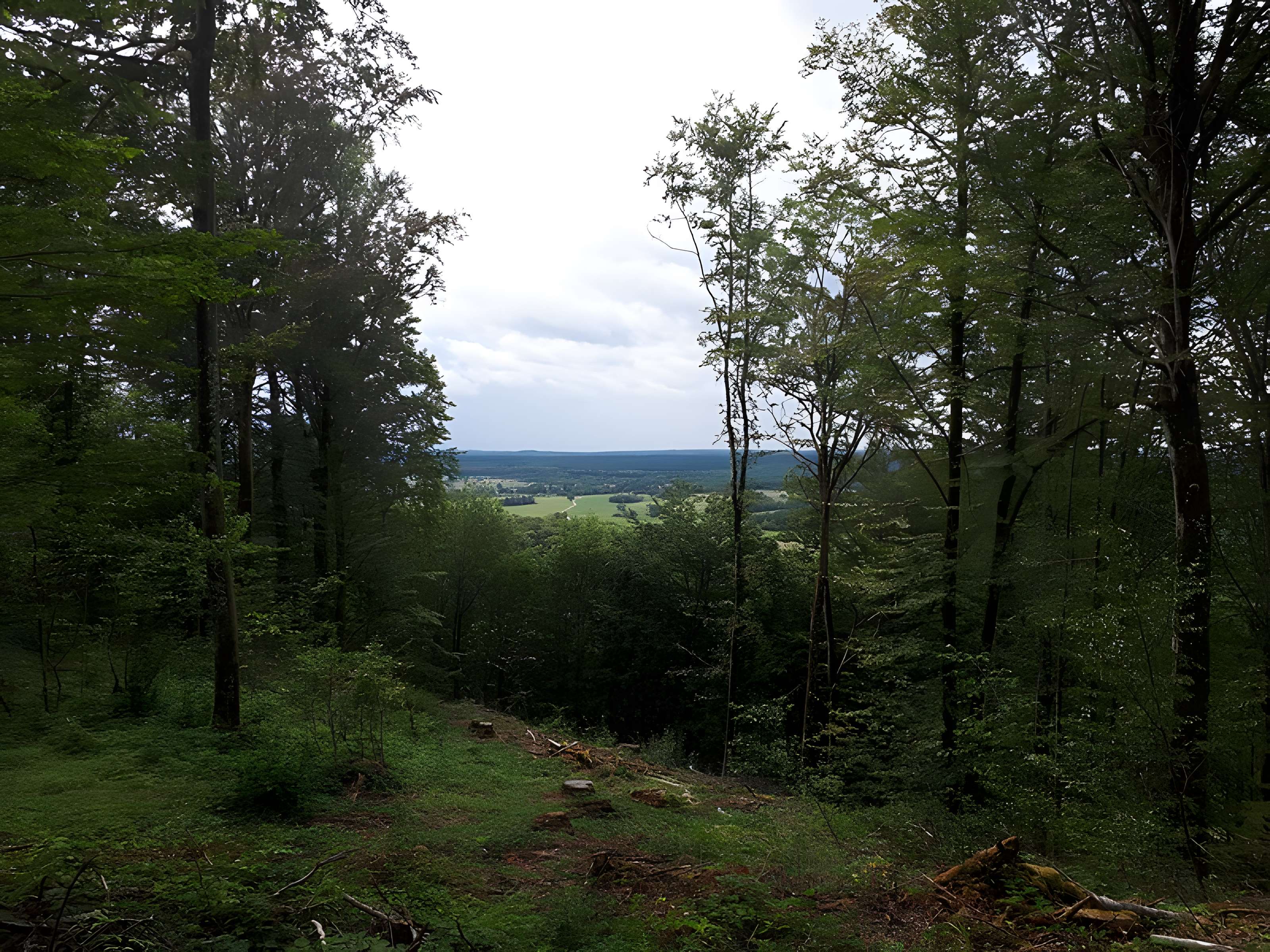 Ruines du château de Montrond