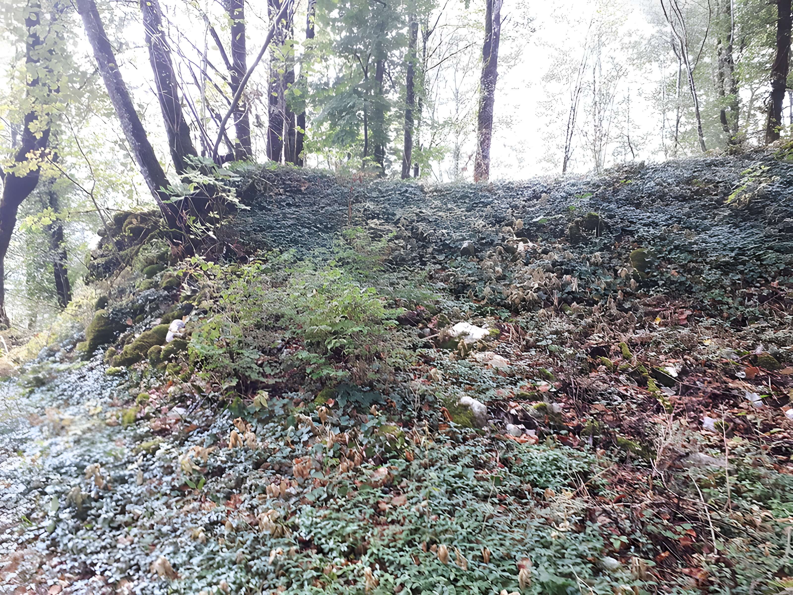 Ruines du château de Montrond