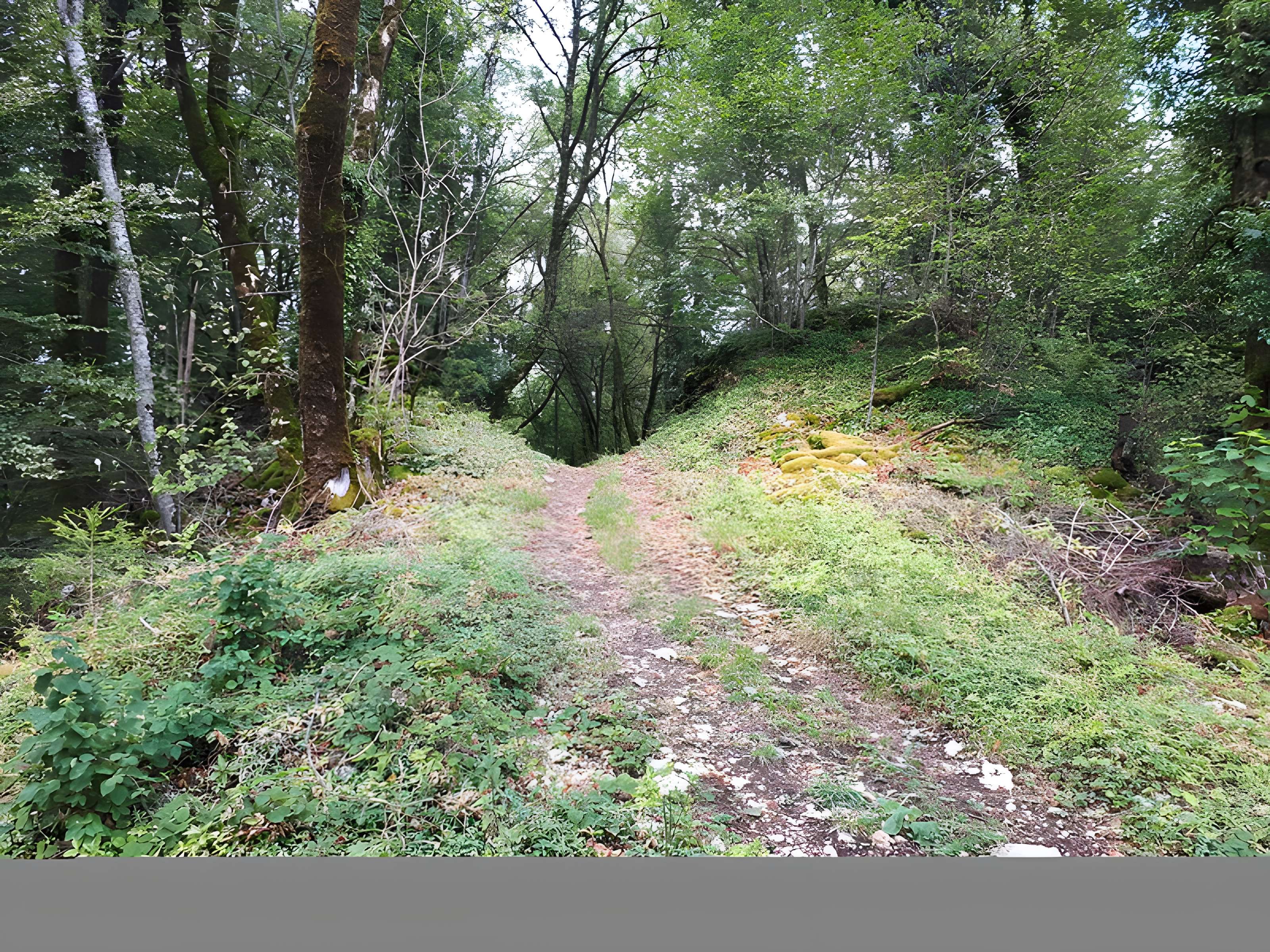 Ruines du château de Montrond