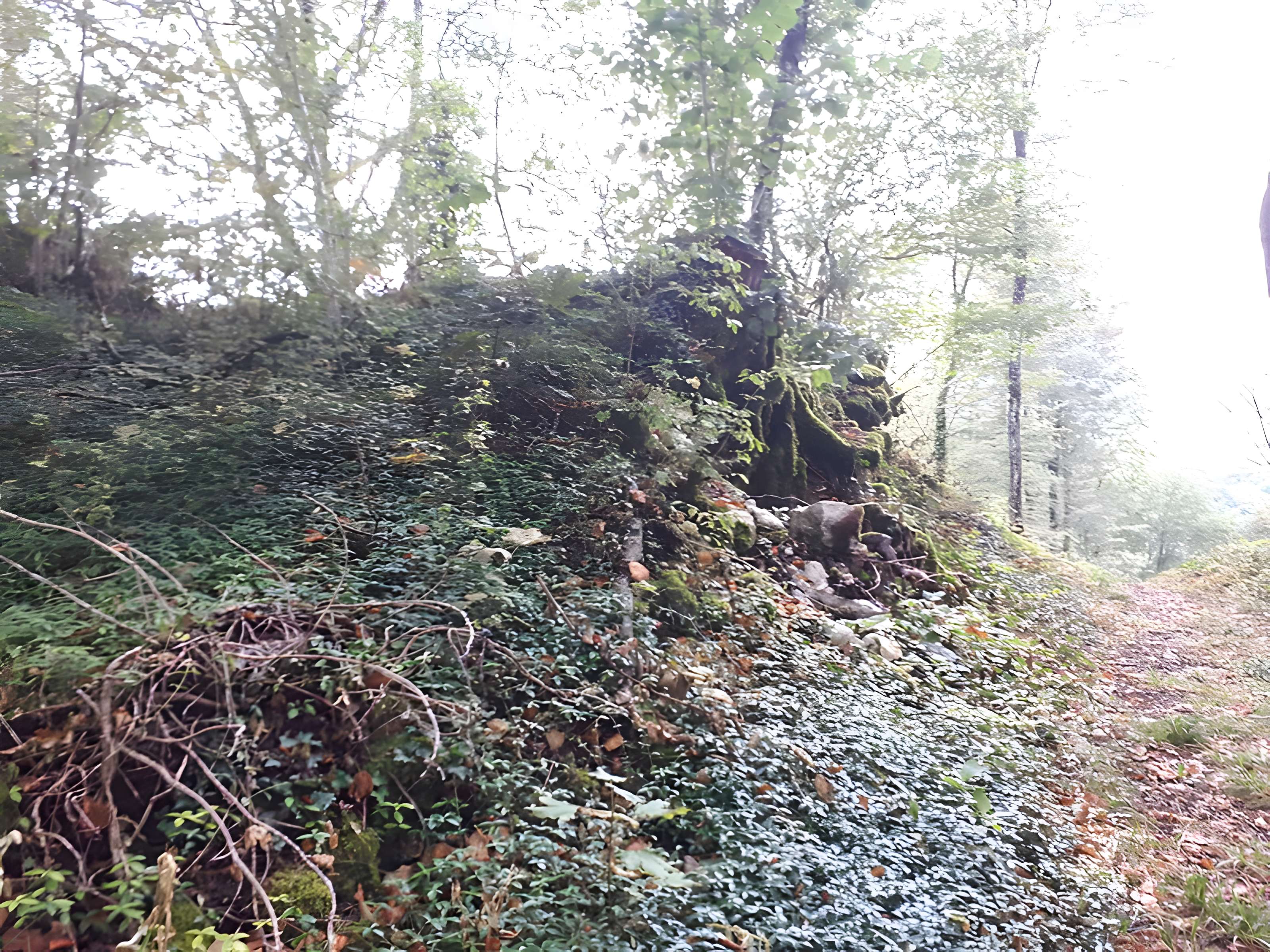 Ruines du château de Montrond
