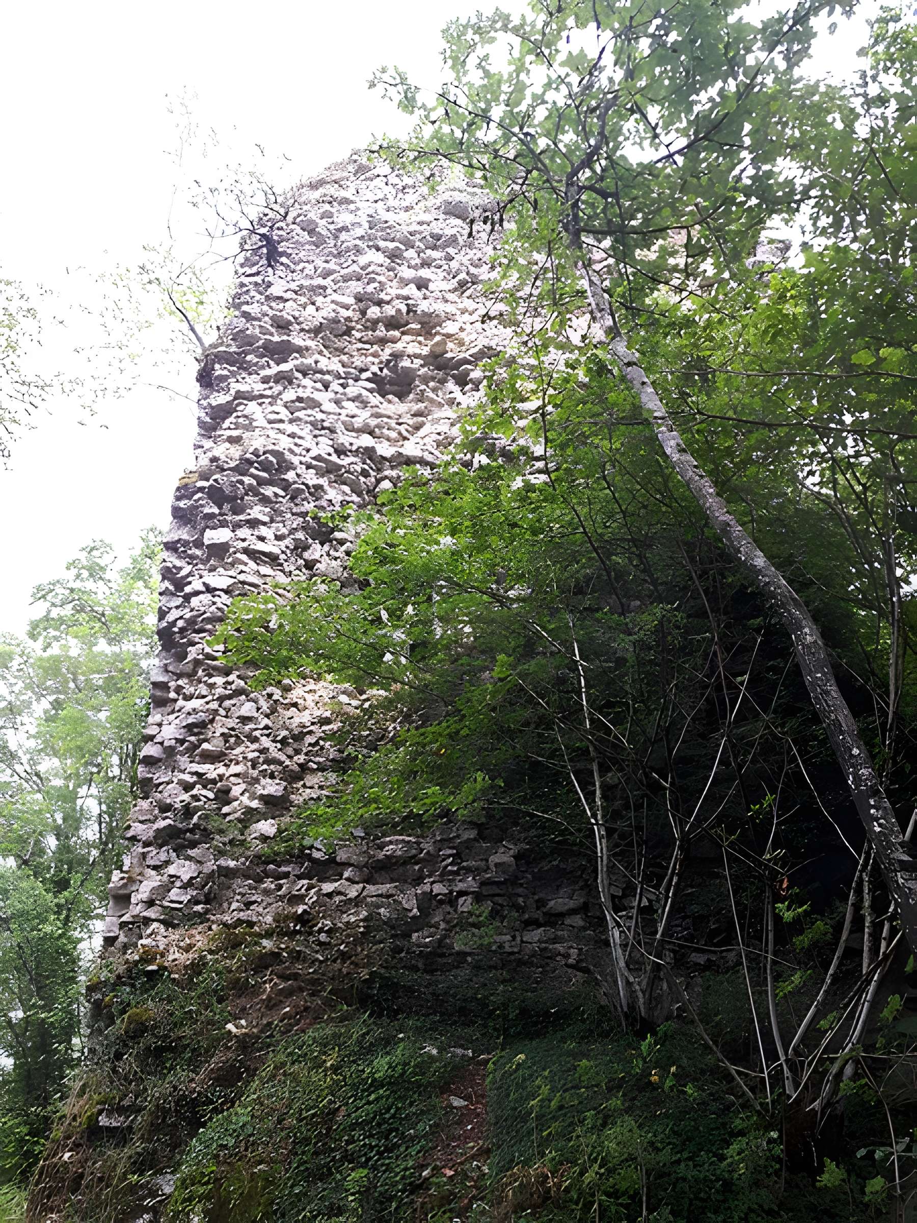 Ruines du château de Montrond