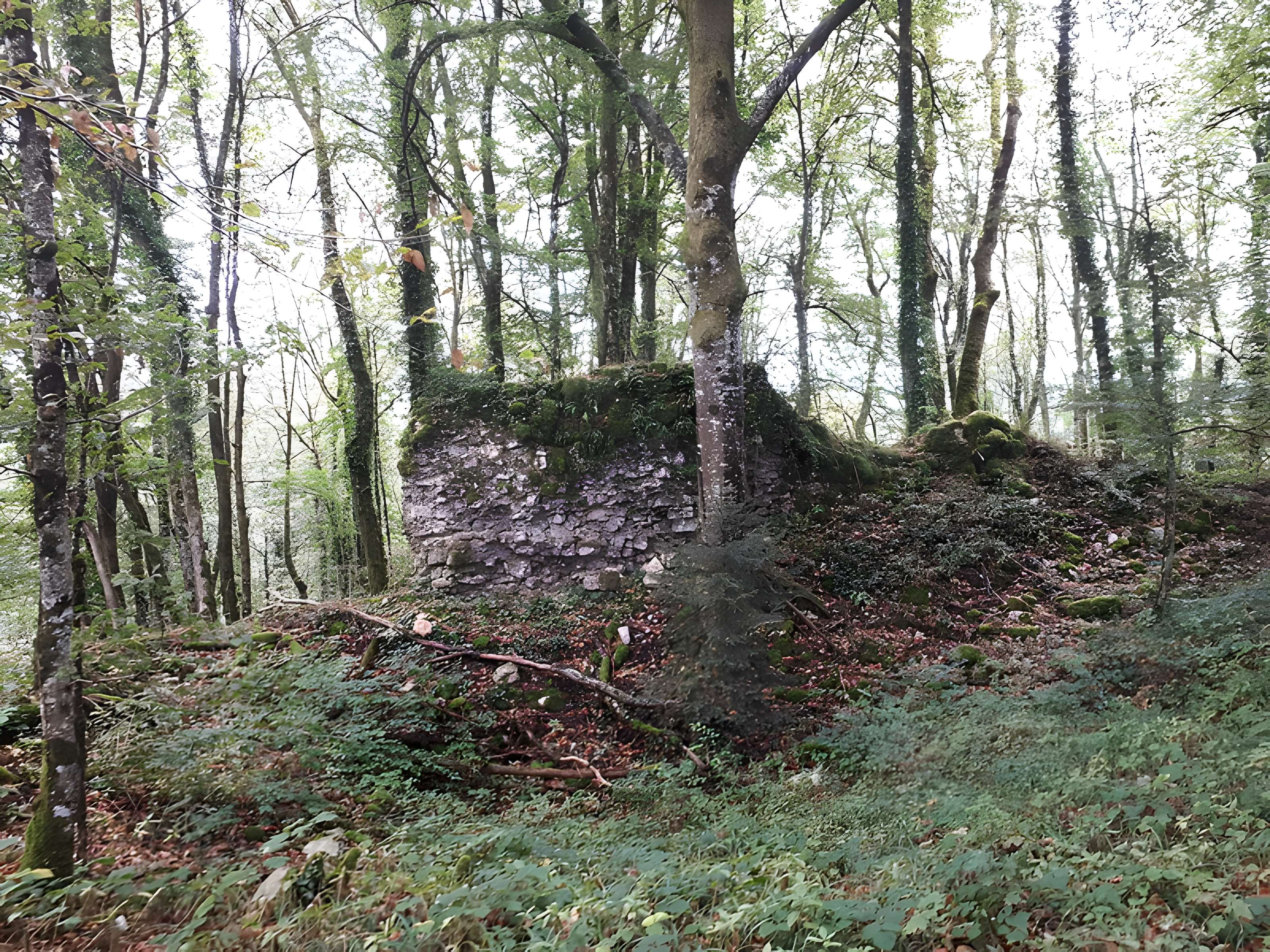 Ruines du château de Montrond