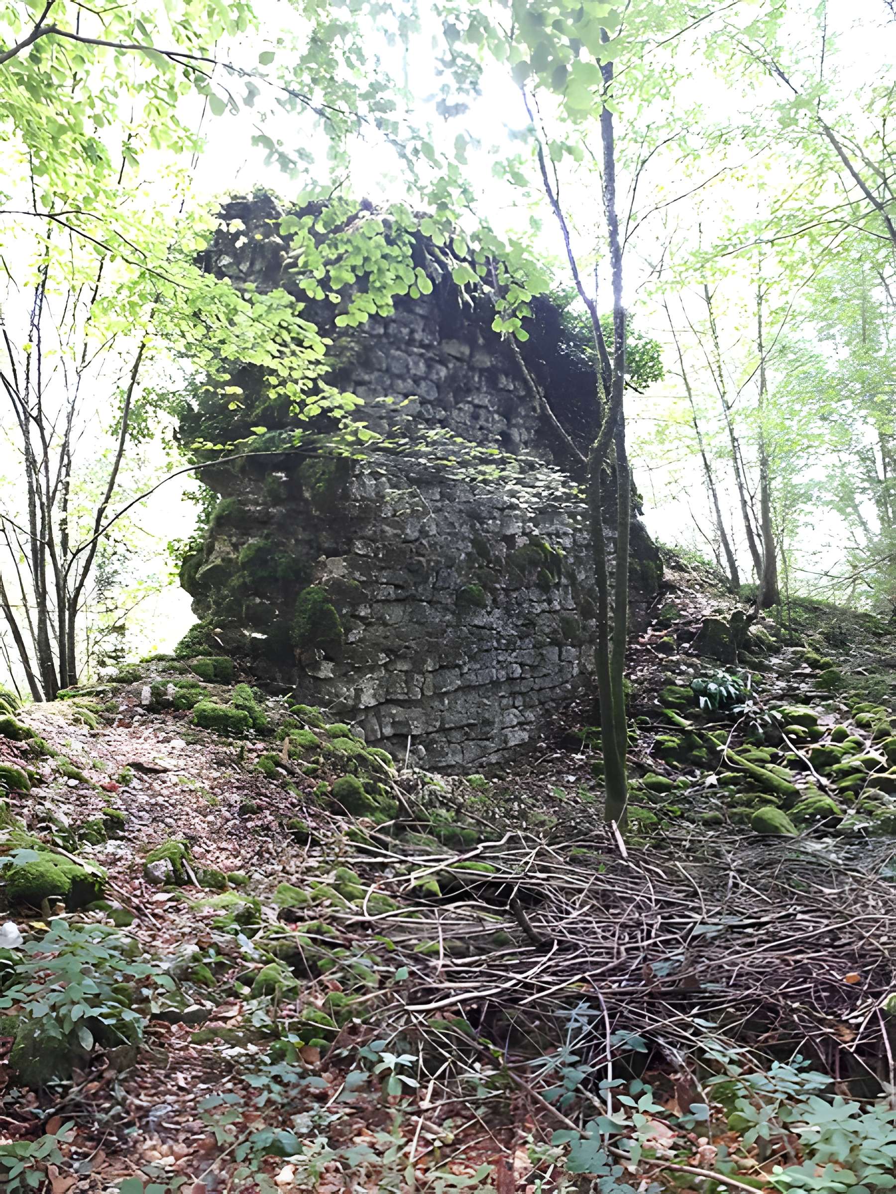Ruines du château de Montrond