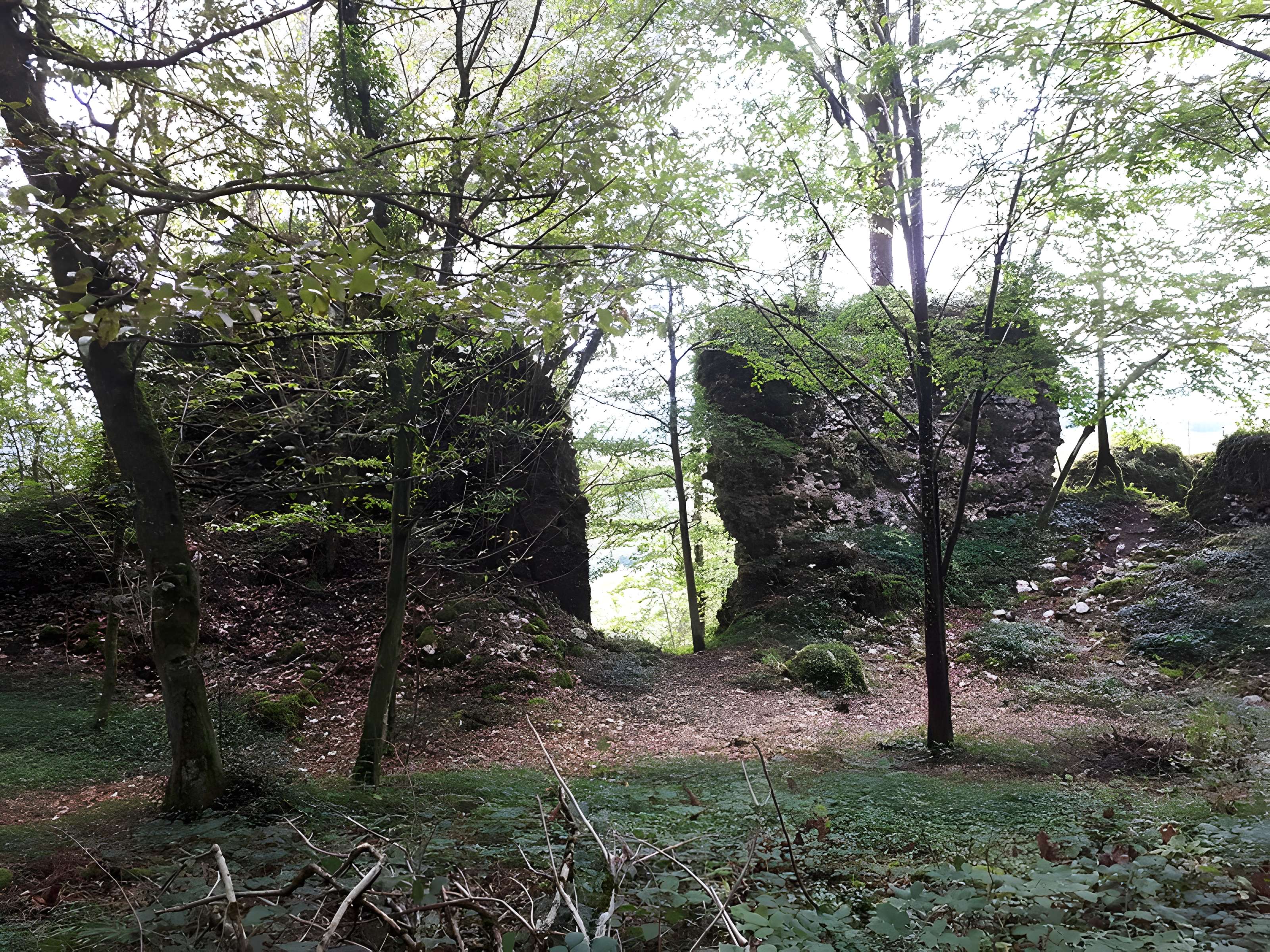 Ruines du château de Montrond