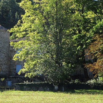 Château de Montseveny