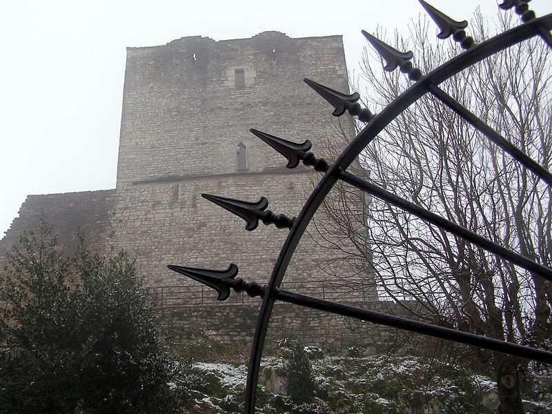 Photo de Château de Morestel