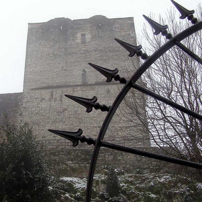 Photo de Château de Morestel