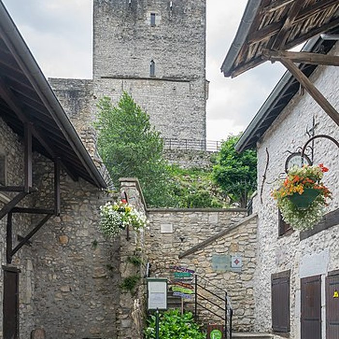Photo de Château de Morestel