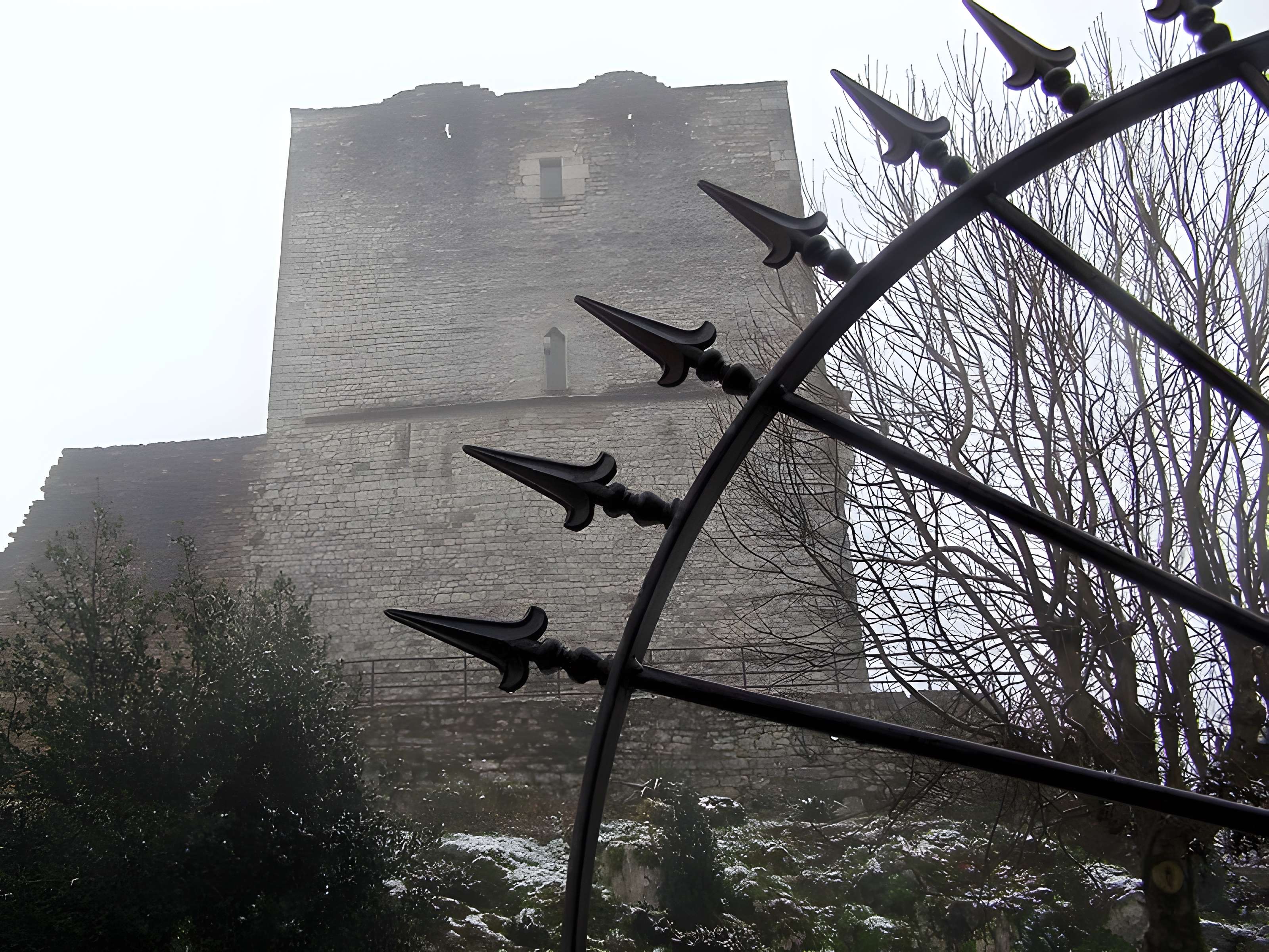 Château de Morestel 