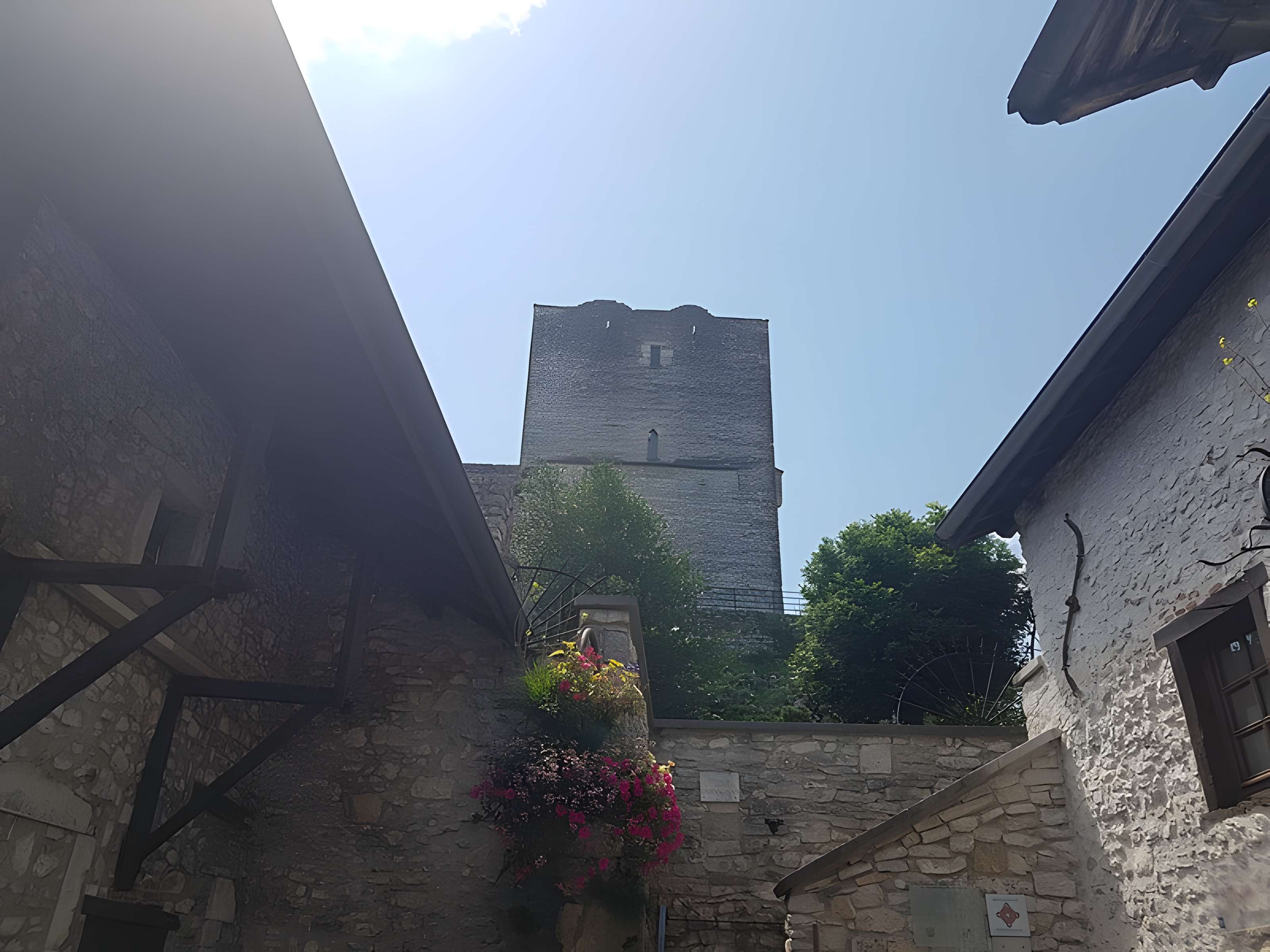 Château de Morestel