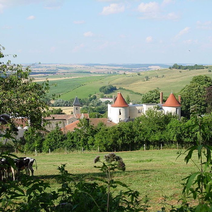 Photo de Château de Morey