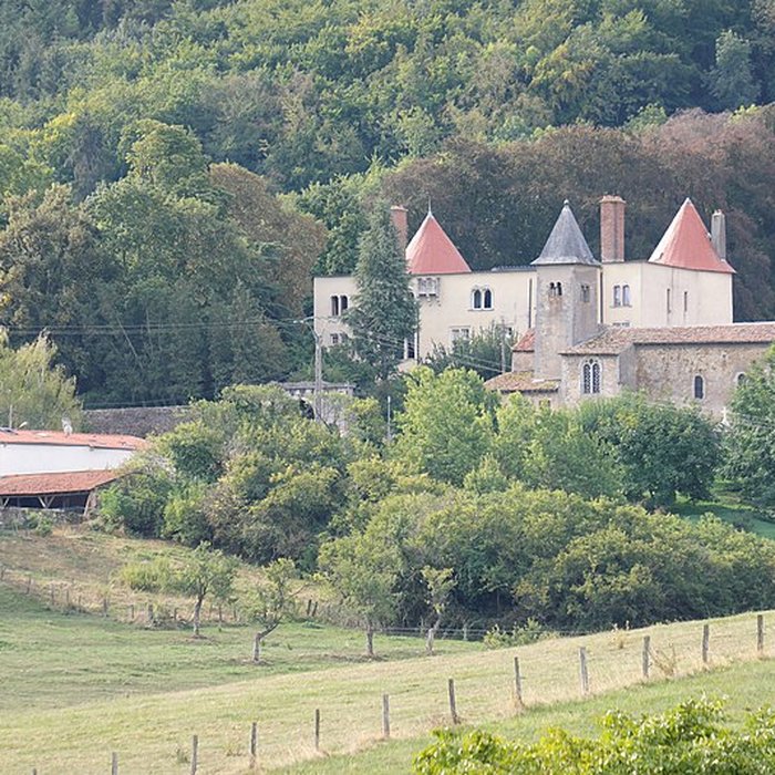 Photo de Château de Morey
