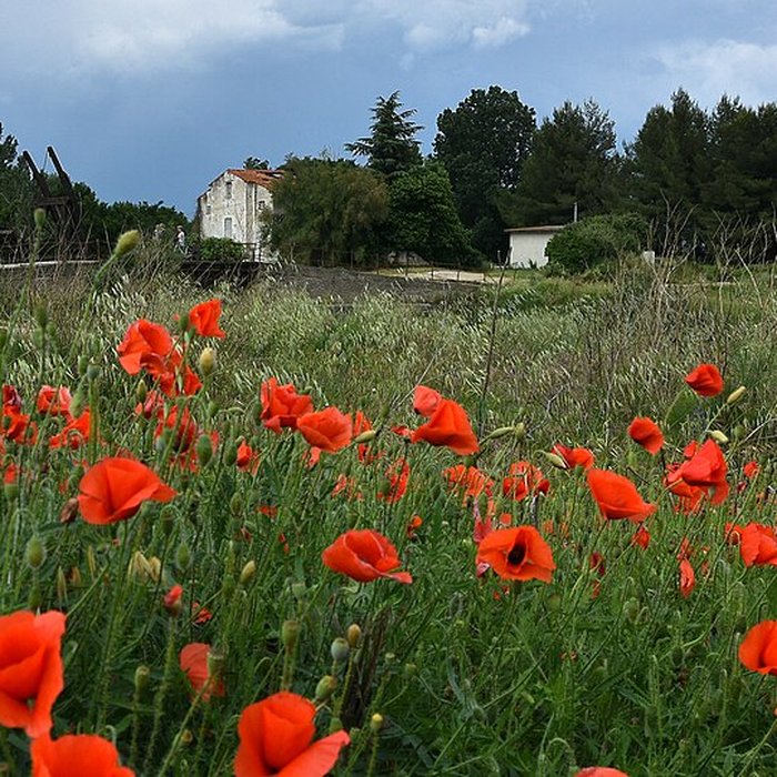 Photo de Pont Van-Gogh à Arles