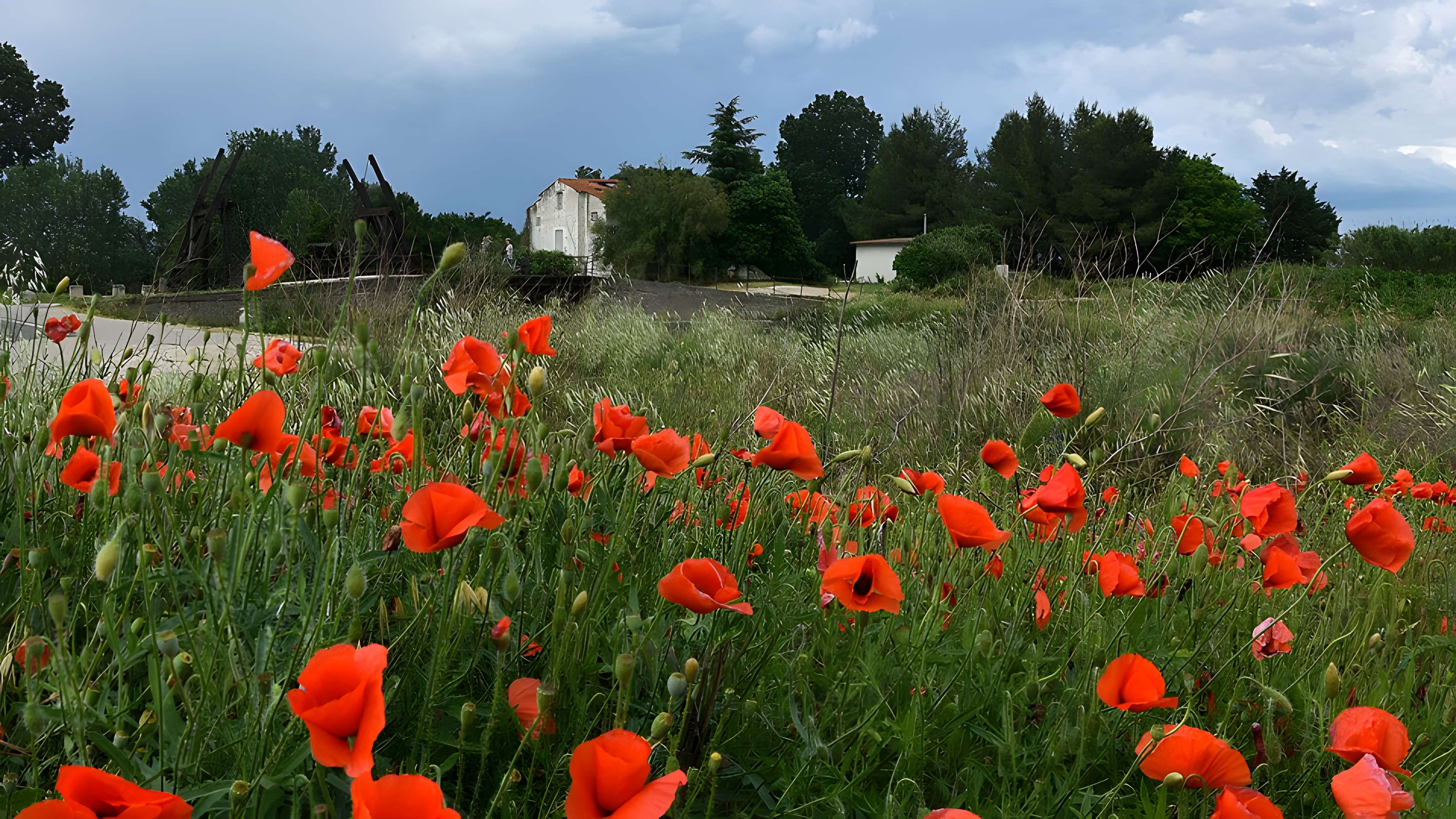 Pont Van-Gogh à Arles