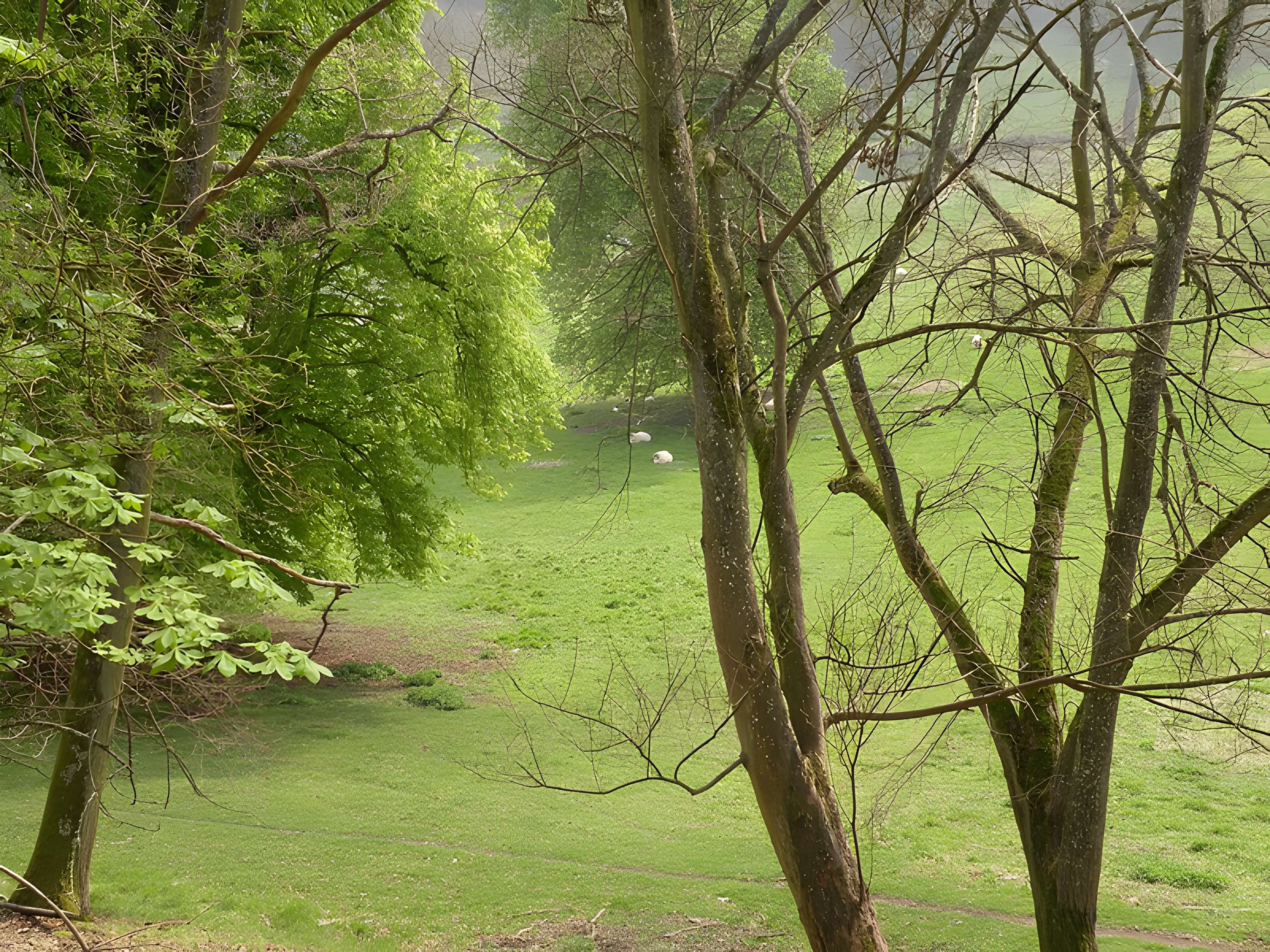 Château de Mouchy-le-Châtel