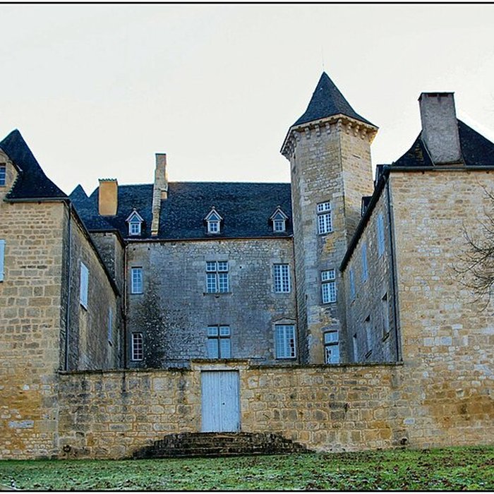 Photo de Château de Nadaillac-de-Rouge