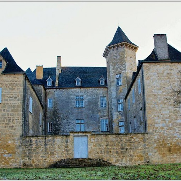 Photo de Château de Nadaillac-de-Rouge
