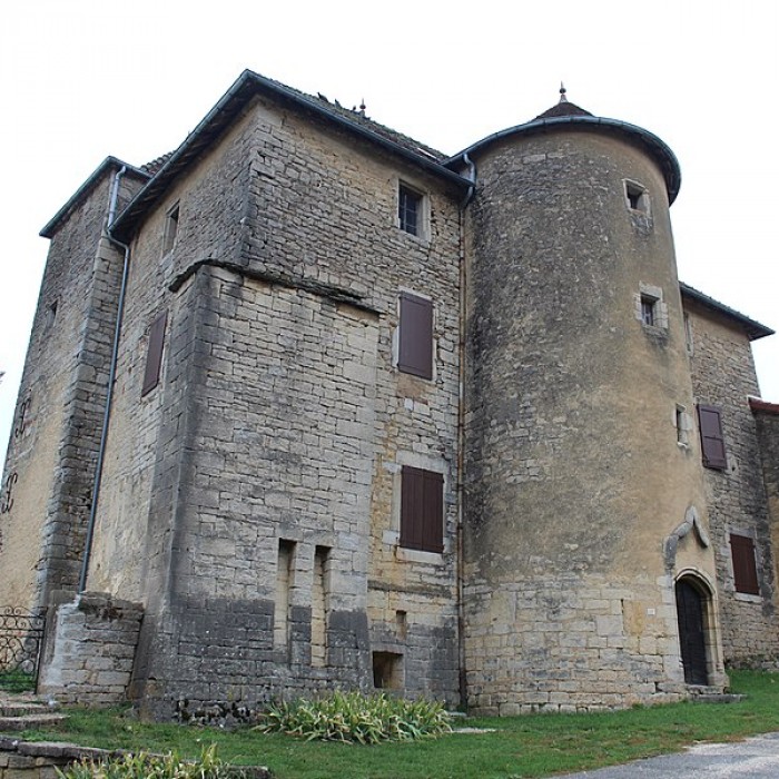 Photo de Château de Nanc-lès-Saint-Amour