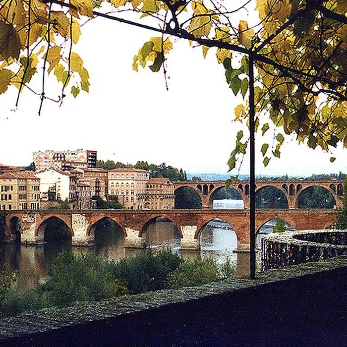 Photo de Pont Vieux dAlbi