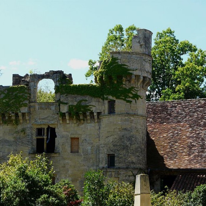 Photo de Château de Nanthiat