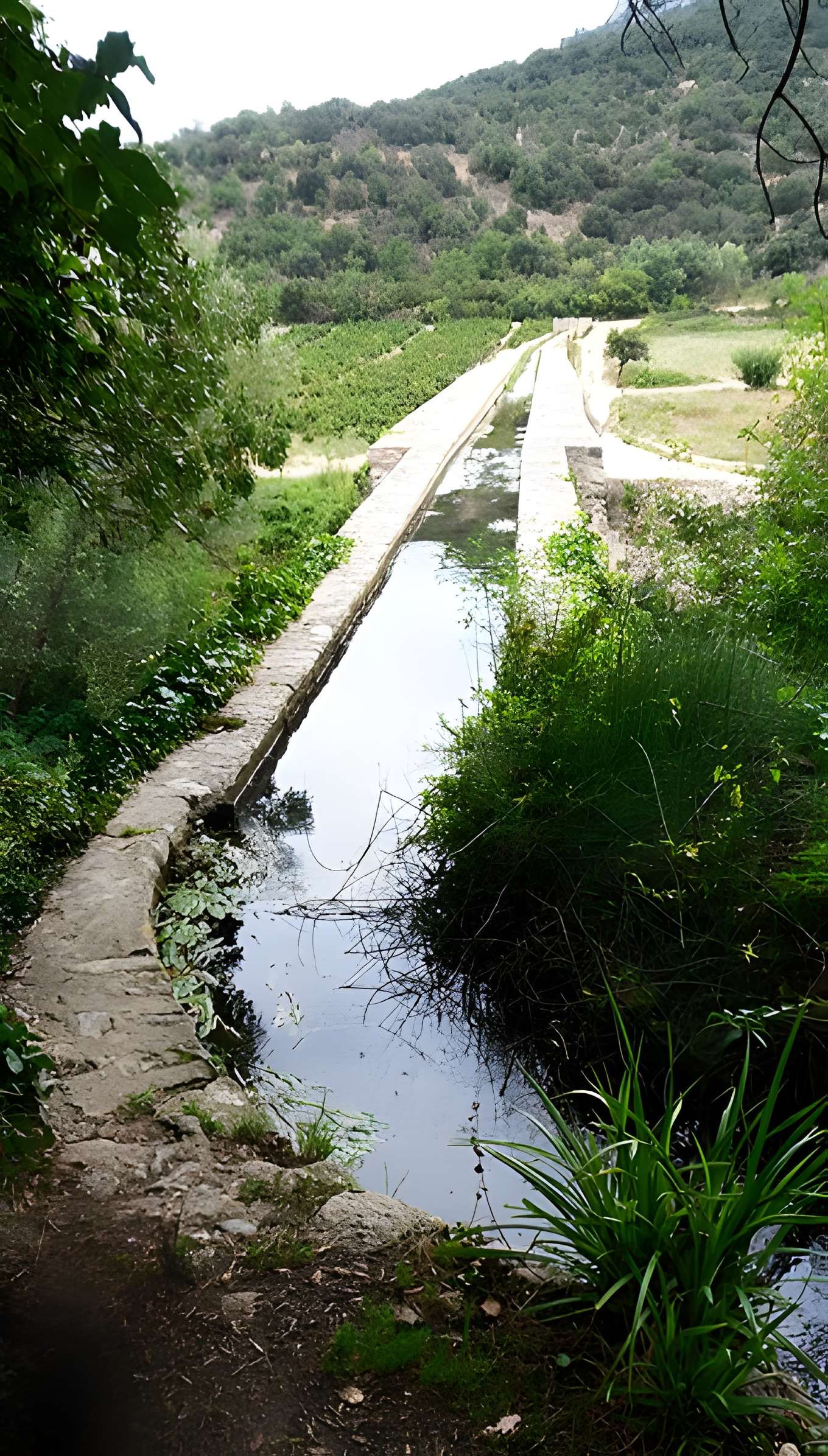 Pont-Aqueduc d'Ansignan