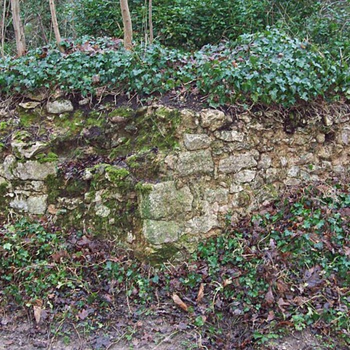 Photo de Château de Noisy-le-Roi