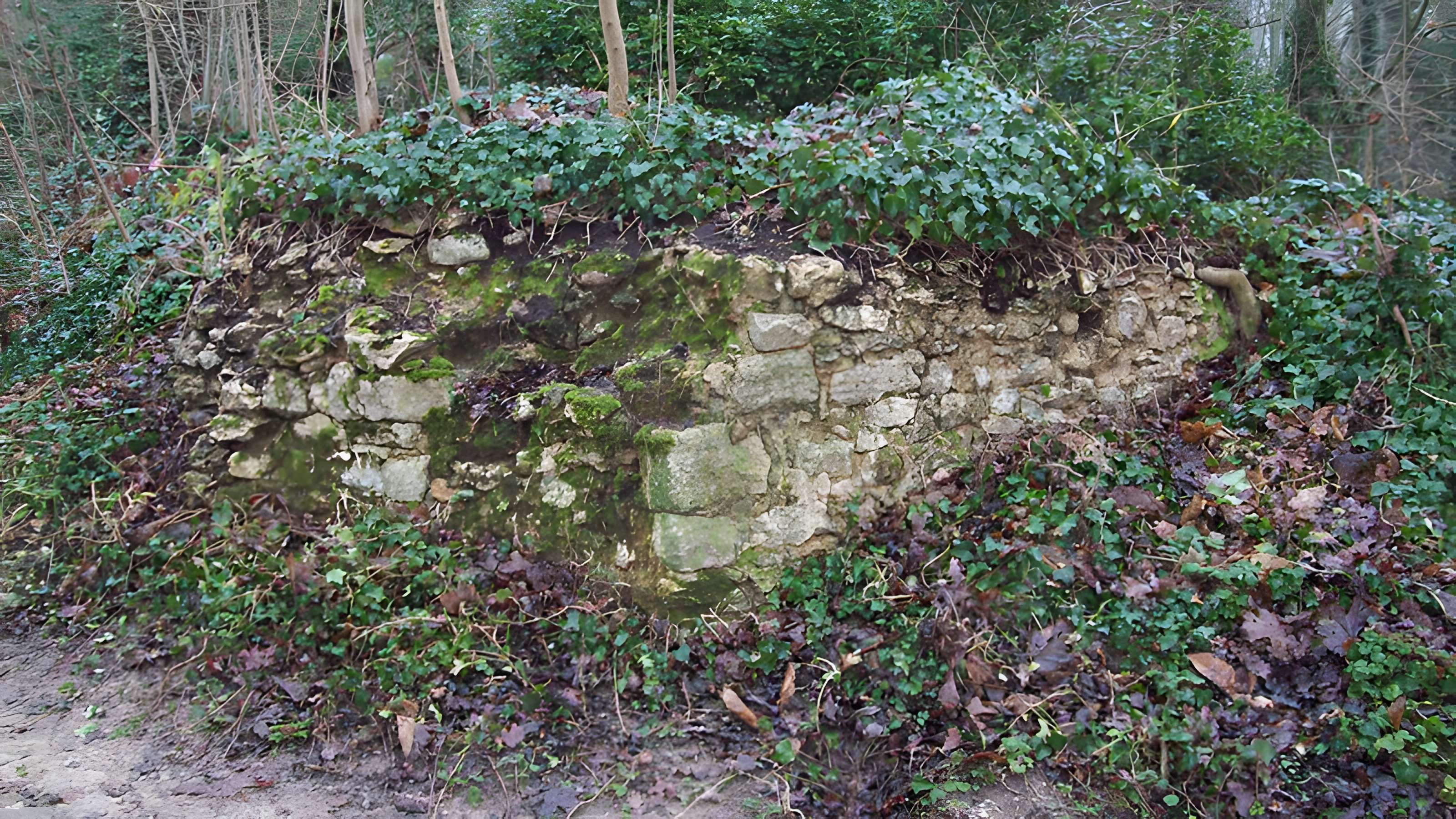 Château de Noisy-le-Roi