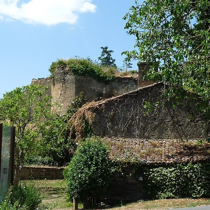 Photo de Château de Passavant