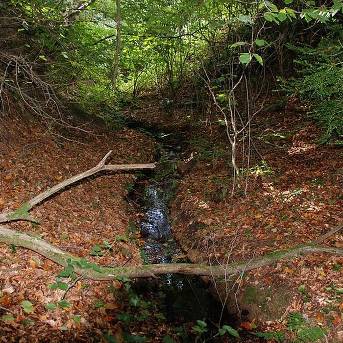 Photo de Château de Perrien
