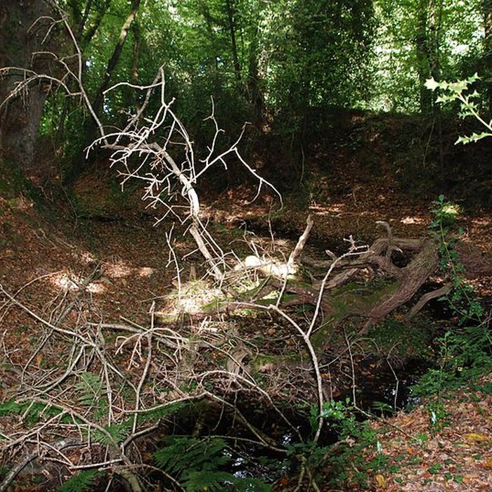 Photo de Château de Perrien