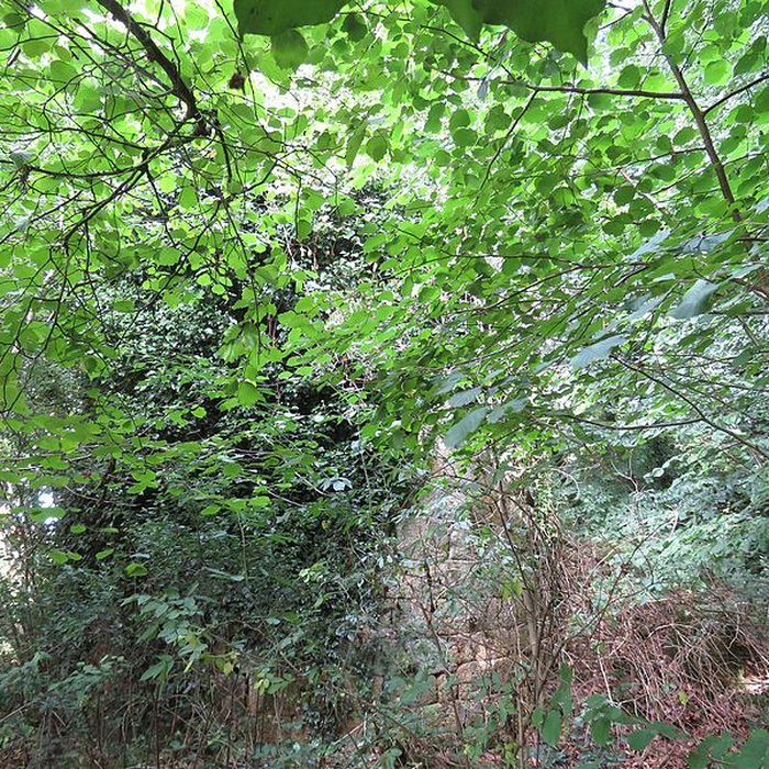 Photo de Château de Perrien