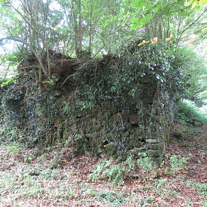 Photo de Château de Perrien