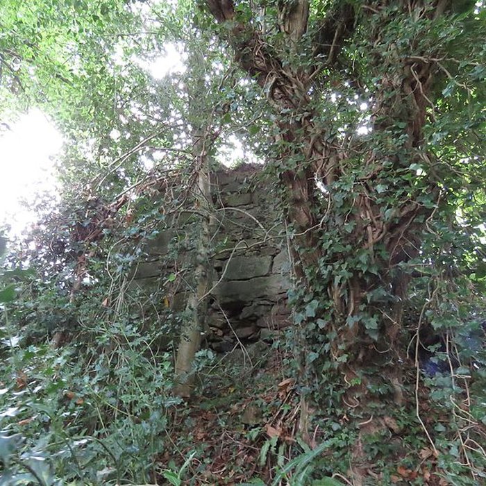 Photo de Château de Perrien