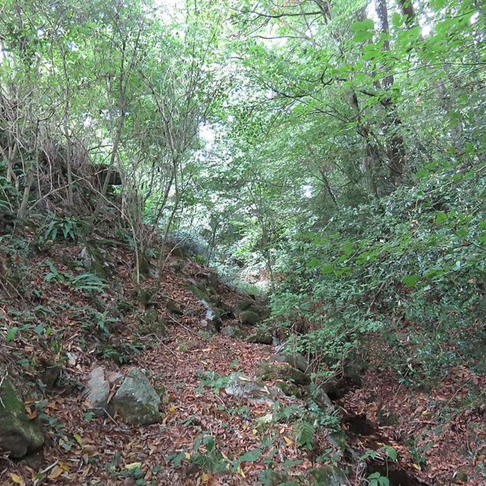 Photo de Château de Perrien